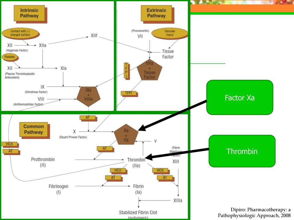 Pharmacotherapy: a