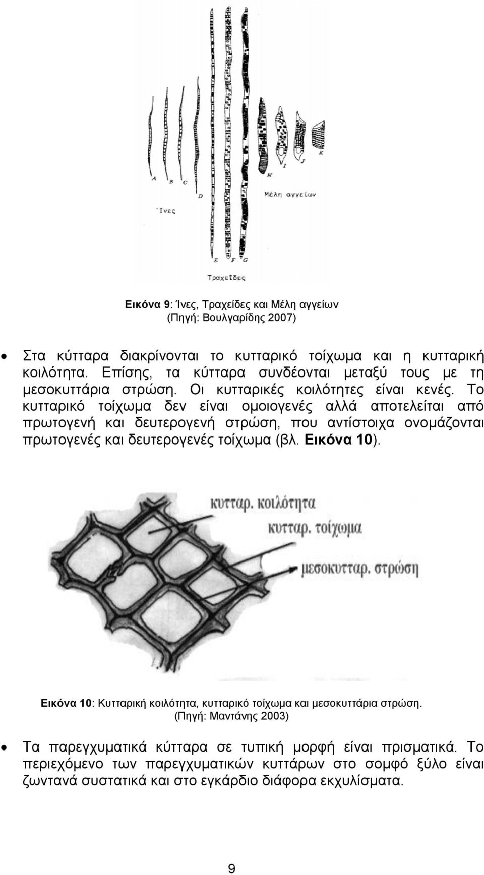 Το κυτταρικό τοίχωμα δεν είναι ομοιογενές αλλά αποτελείται από πρωτογενή και δευτερογενή στρώση, που αντίστοιχα ονομάζονται πρωτογενές και δευτερογενές τοίχωμα (βλ. Εικόνα 10).