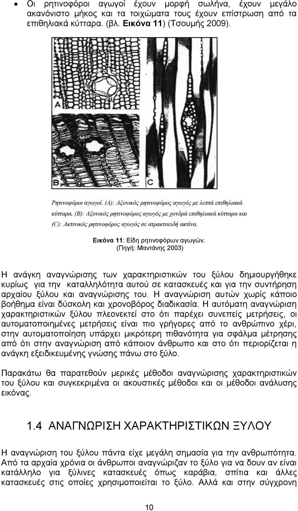 (Πηγή: Μαντάνης 2003) Η ανάγκη αναγνώρισης των χαρακτηριστικών του ξύλου δημιουργήθηκε κυρίως για την καταλληλότητα αυτού σε κατασκευές και για την συντήρηση αρχαίου ξύλου και αναγνώρισης του.