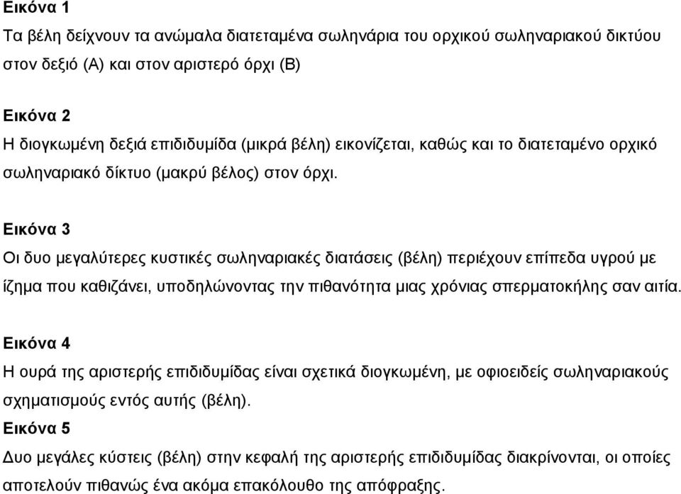 Εικόνα 3 Οη δπν κεγαιύηεξεο θπζηηθέο ζσιελαξηαθέο δηαηάζεηο (βέιε) πεξηέρνπλ επίπεδα πγξνύ κε ίδεκα πνπ θαζηδάλεη, ππνδειώλνληαο ηελ πηζαλόηεηα κηαο ρξόληαο ζπεξκαηνθήιεο ζαλ αηηία.