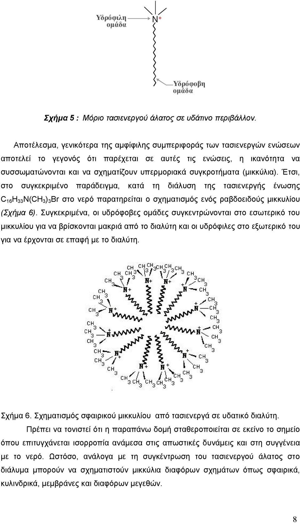 συγκροτήματα (μικκύλια). Έτσι, στο συγκεκριμένο παράδειγμα, κατά τη διάλυση της τασιενεργής ένωσης C 16 H 33 N(CH 3 ) 3 Br στο νερό παρατηρείται ο σχηματισμός ενός ραβδοειδούς μικκυλίου (Σχήμα 6).