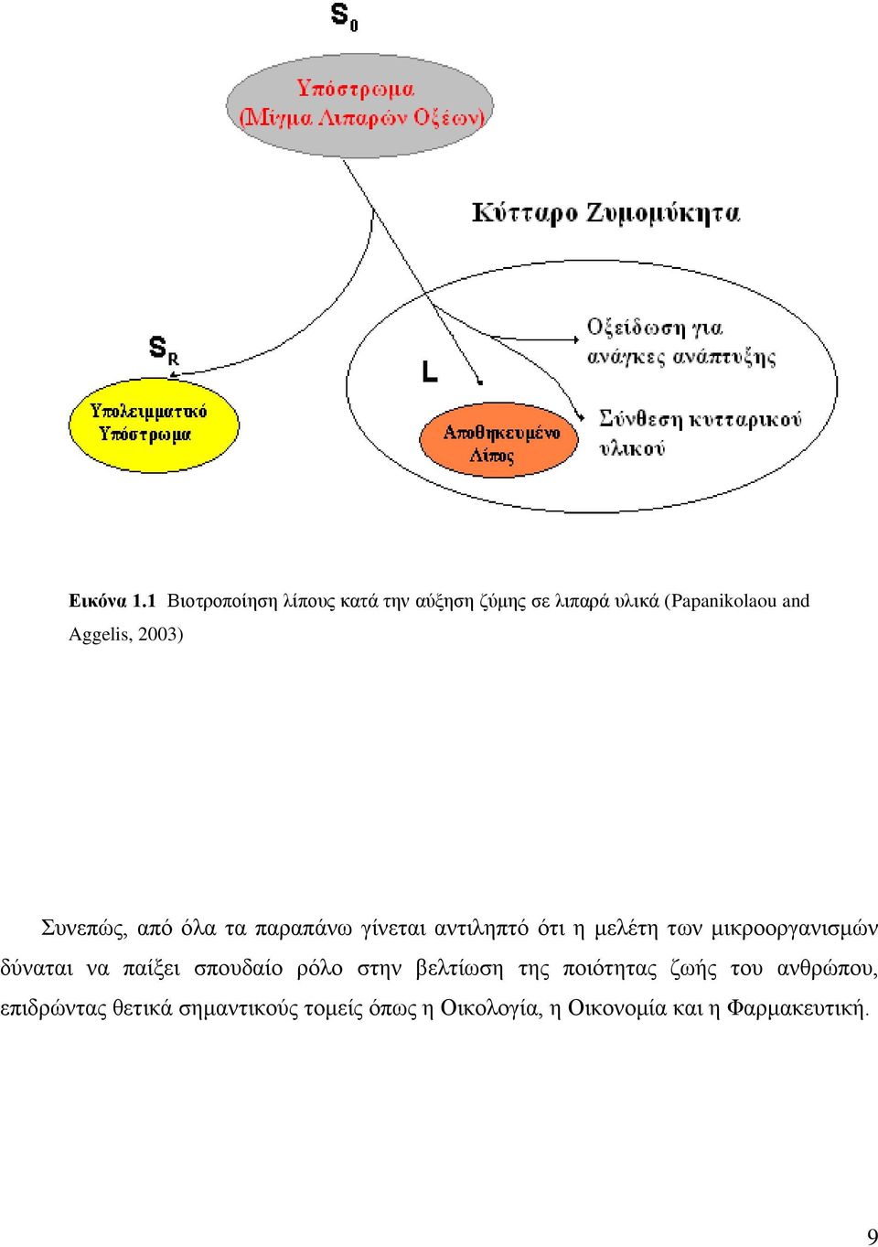 2003) πλεπώο, από όια ηα παξαπάλσ γίλεηαη αληηιεπηό όηη ε κειέηε ησλ κηθξννξγαληζκώλ