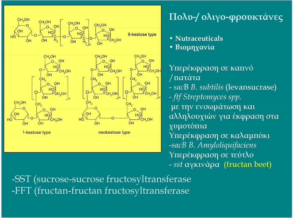 subtilis (levansucrase) - ftf Streptomyces spp.