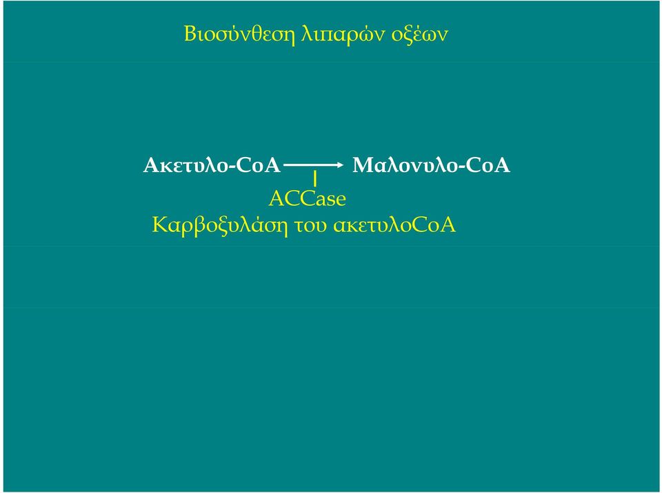 Mαλονυλο-CoA ACCase