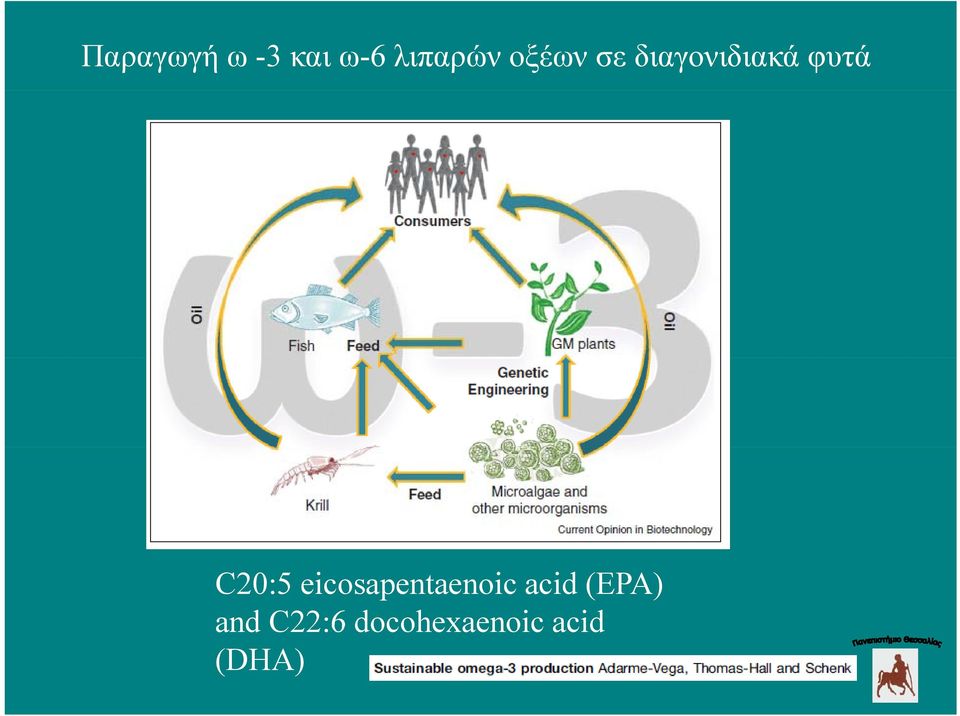 C20:5 eicosapentaenoic acid