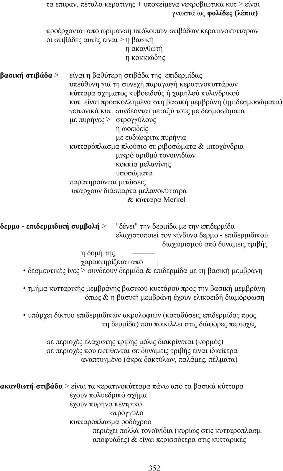 βασική στιβάδα > είναι η βαθύτερη στιβάδα της επιδερµίδας υπεύθυνη για τη συνεχή παραγωγή κερατινοκυττάρων κύτταρα σχήµατος κυβοειδούς ή χαµηλού κυλινδρικού κυτ.