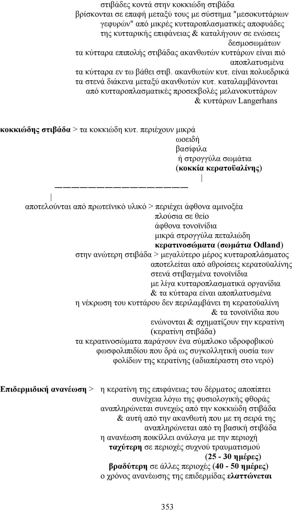 καταλαµβάνονται από κυτταροπλασµατικές προσεκβολές µελανοκυττάρων & κυττάρων Langerhans κοκκιώδης στιβάδα > τα κοκκιώδη κυτ.