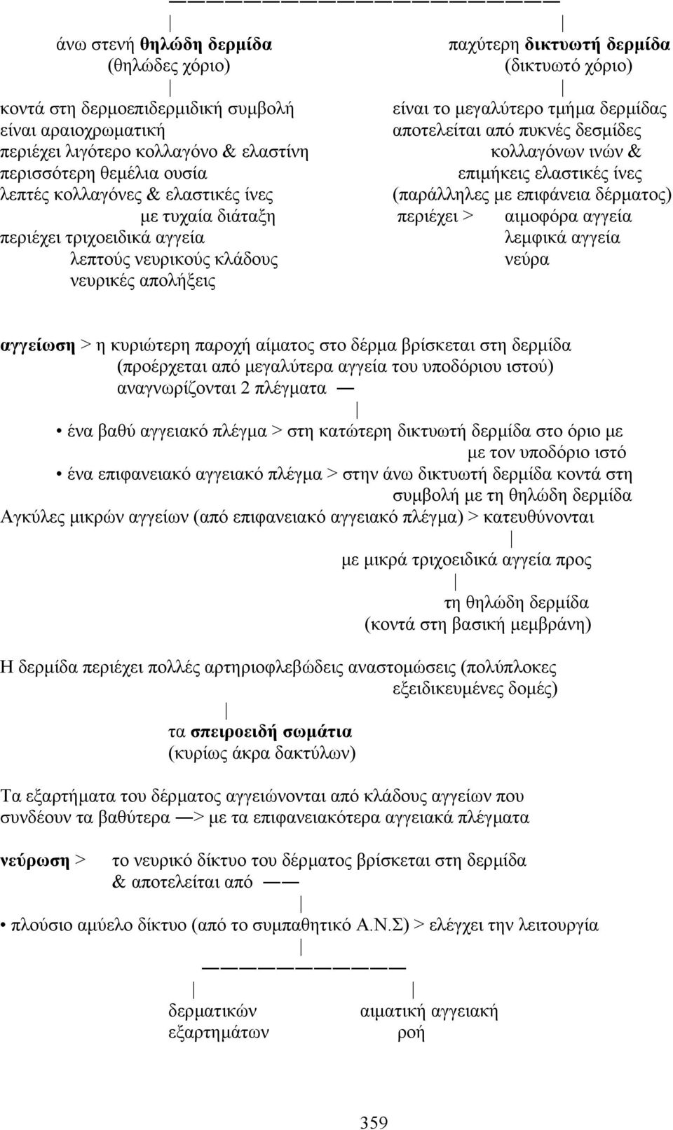 διάταξη περιέχει > αιµοφόρα αγγεία περιέχει τριχοειδικά αγγεία λεµφικά αγγεία λεπτούς νευρικούς κλάδους νεύρα νευρικές απολήξεις αγγείωση > η κυριώτερη παροχή αίµατος στο δέρµα βρίσκεται στη δερµίδα