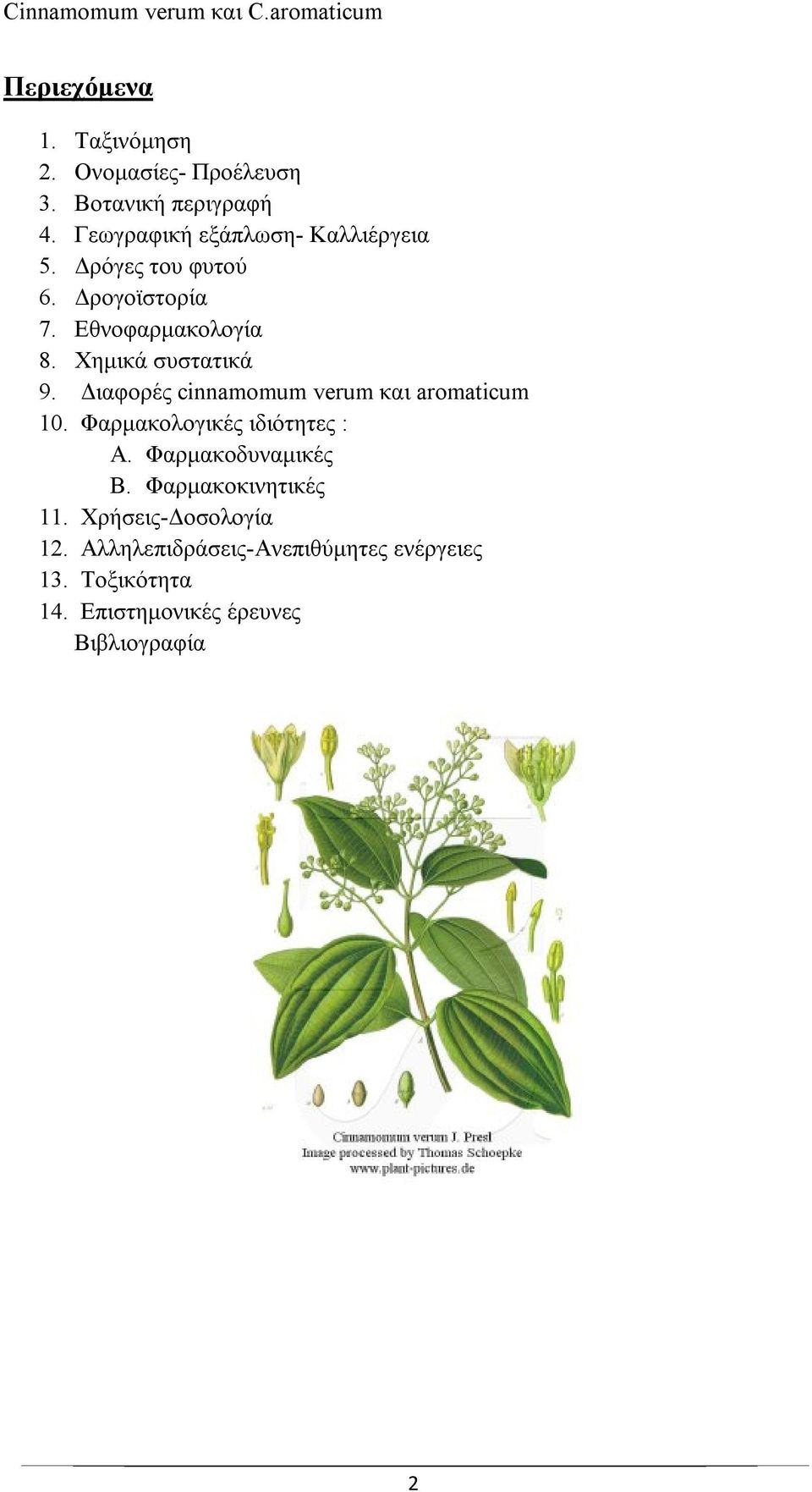 Χημικά συστατικά 9. Διαφορές cinnamomum verum και aromaticum 10. Φαρμακολογικές ιδιότητες : A.
