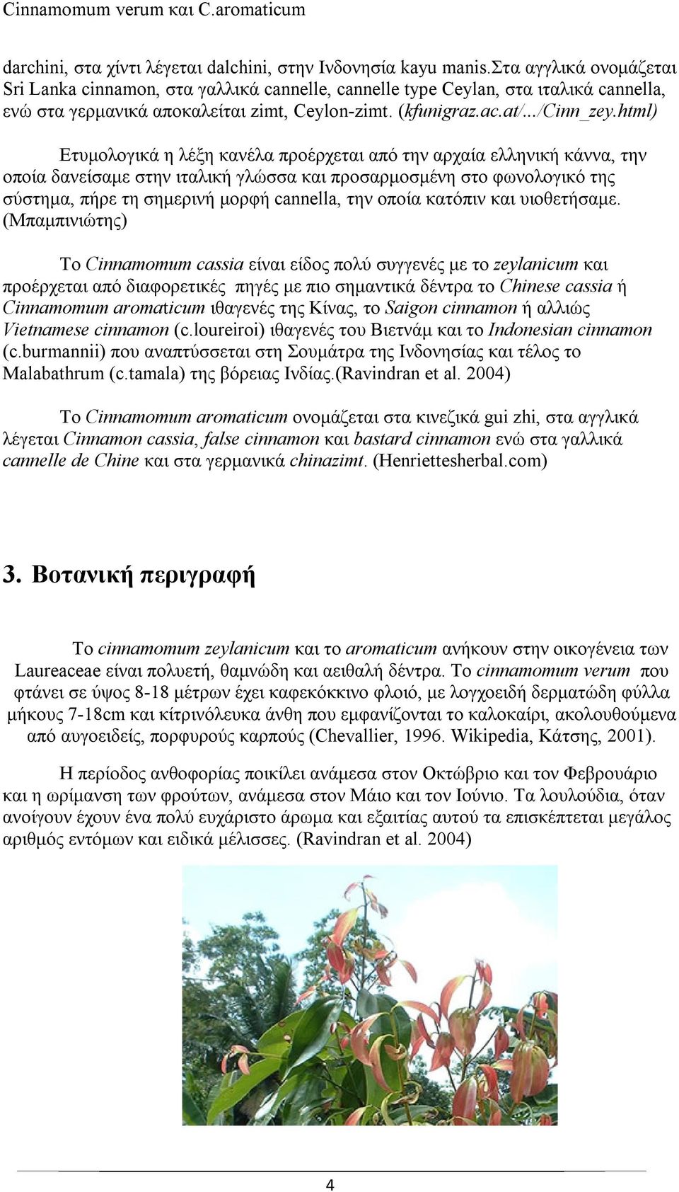 html) Ετυμολογικά η λέξη κανέλα προέρχεται από την αρχαία ελληνική κάννα, την οποία δανείσαμε στην ιταλική γλώσσα και προσαρμοσμένη στο φωνολογικό της σύστημα, πήρε τη σημερινή μορφή cannella, την