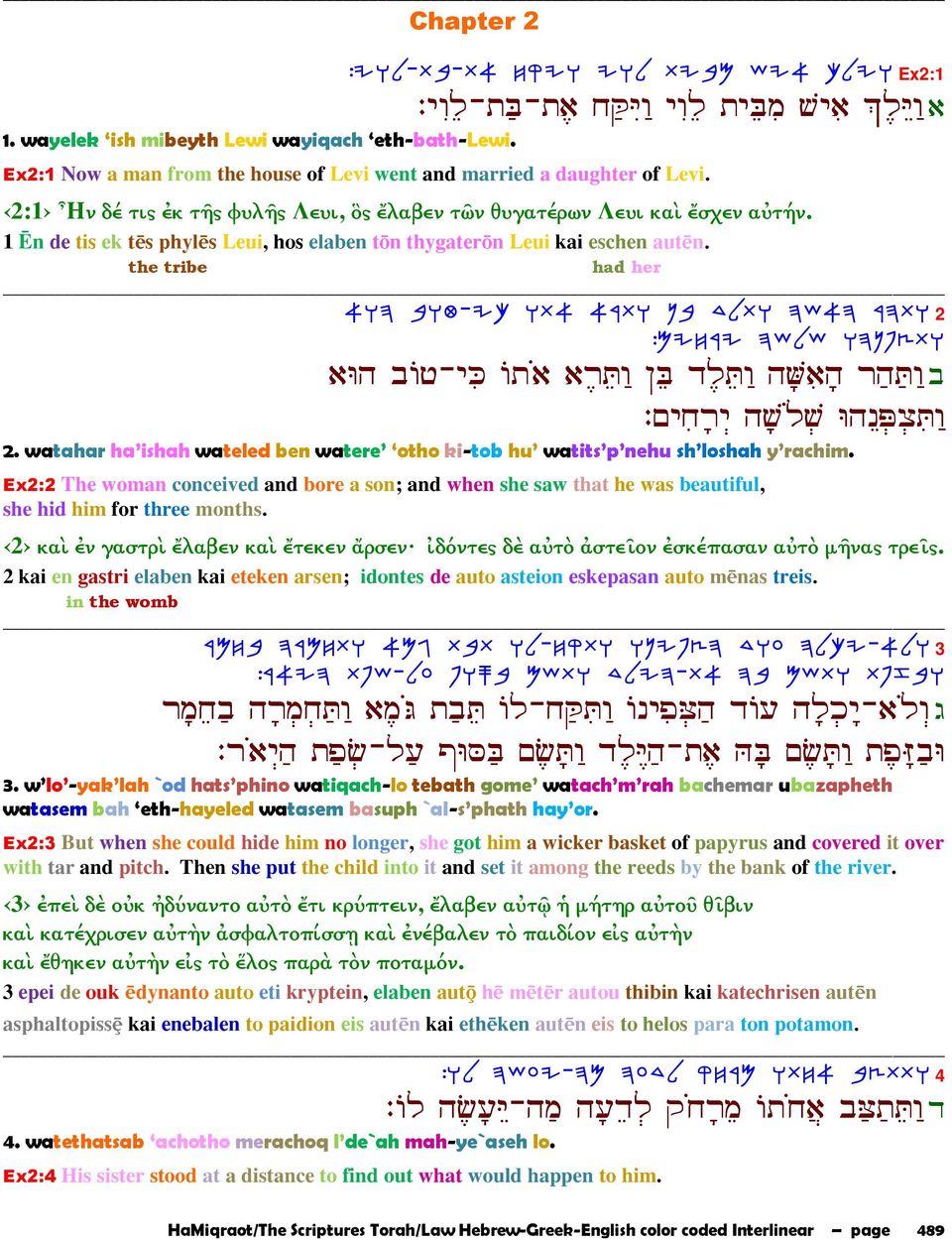 1 n de tis ek t s phyl s Leui, hos elaben t n thygater n Leui kai eschen aut n.
