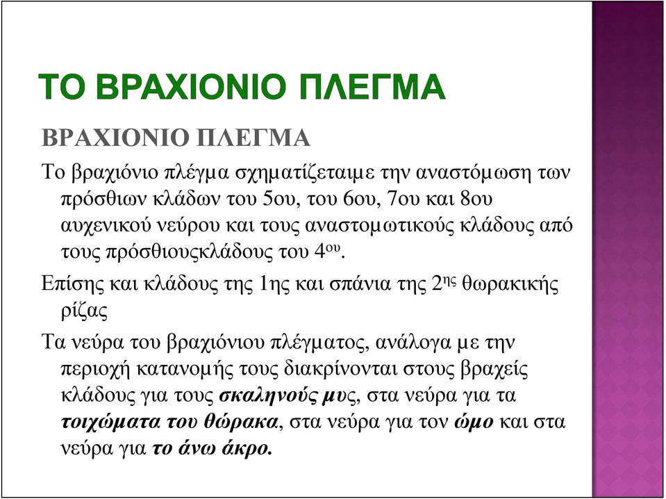 Επίσηςκαικλάδουςτης 1ηςκαισπάνιατης 2 ης θωρακικής ρίζας Τα νεύρα του βραχιόνιου πλέγµατος, ανάλογα µε την περιοχή