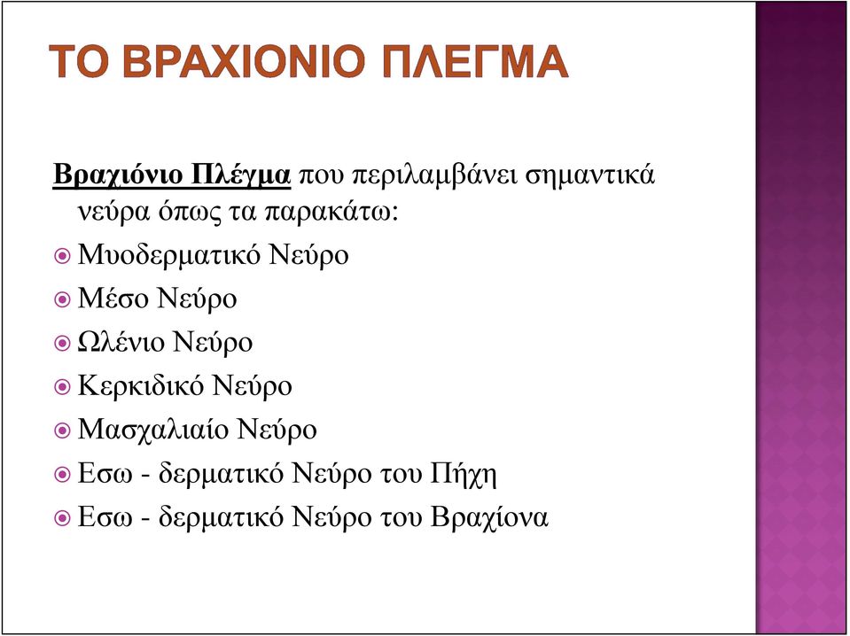 Ωλένιο Νεύρο Κερκιδικό Νεύρο Μασχαλιαίο Νεύρο Εσω -