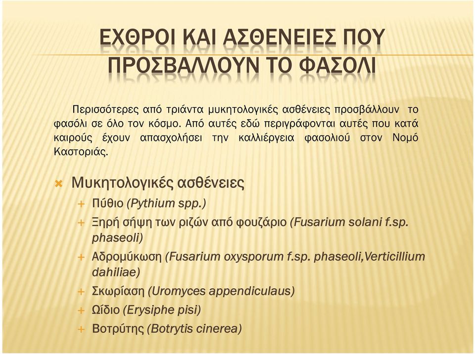 Μυκητολογικές ασθένειες Πύθιο (Pythium spp.) Ξηρή σήψη των ριζών από φουζάριο (Fusarium solani f.sp. phaseoli) Αδροµύκωση (Fusarium oxysporum f.