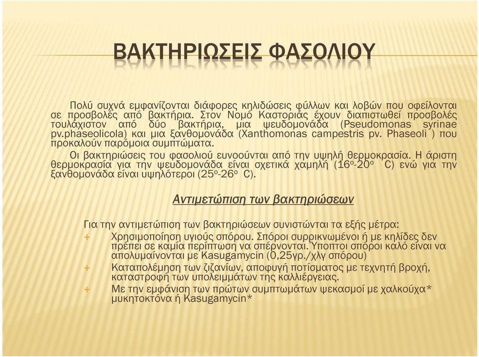 Phaseoli ) που προκαλούν παρόµοια συµπτώµατα. Οι βακτηριώσεις του φασολιού ευνοούνται από την υψηλή θερµοκρασία.