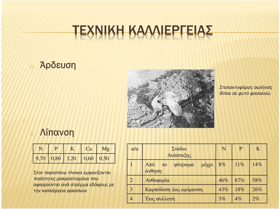 εµφανίζονται ποσότητες µακροστοιχείων που αφαιρούνται ανά στρέµµα εδάφους µε την καλλιέργεια