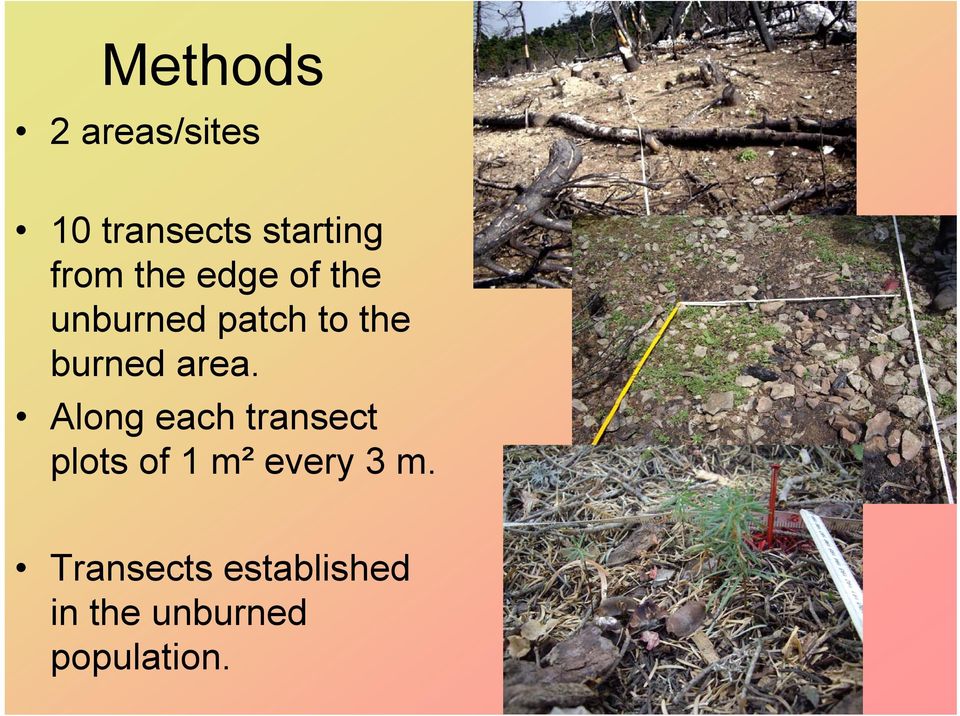 area. Along each transect plots of 1 m² every 3