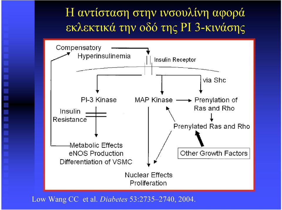 ΡΙ 3-κινάσης Low Wang CC et