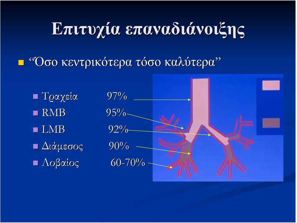 Τραχεία 97% RMB 95% LMB 92%