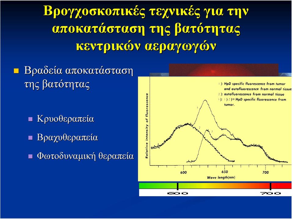 αποκατάσταση της βατότητας κεντρικών