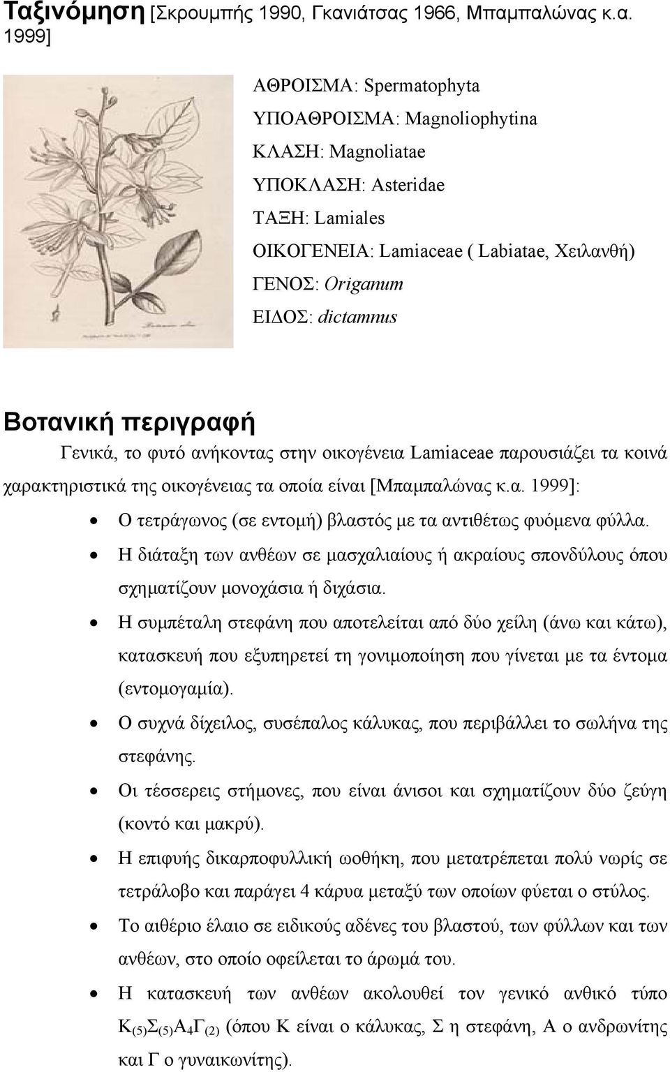 [Μπαµπαλώνας κ.α. 1999]: Ο τετράγωνος (σε εντοµή) βλαστός µε τα αντιθέτως φυόµενα φύλλα. Η διάταξη των ανθέων σε µασχαλιαίους ή ακραίους σπονδύλους όπου σχηµατίζουν µονοχάσια ή διχάσια.