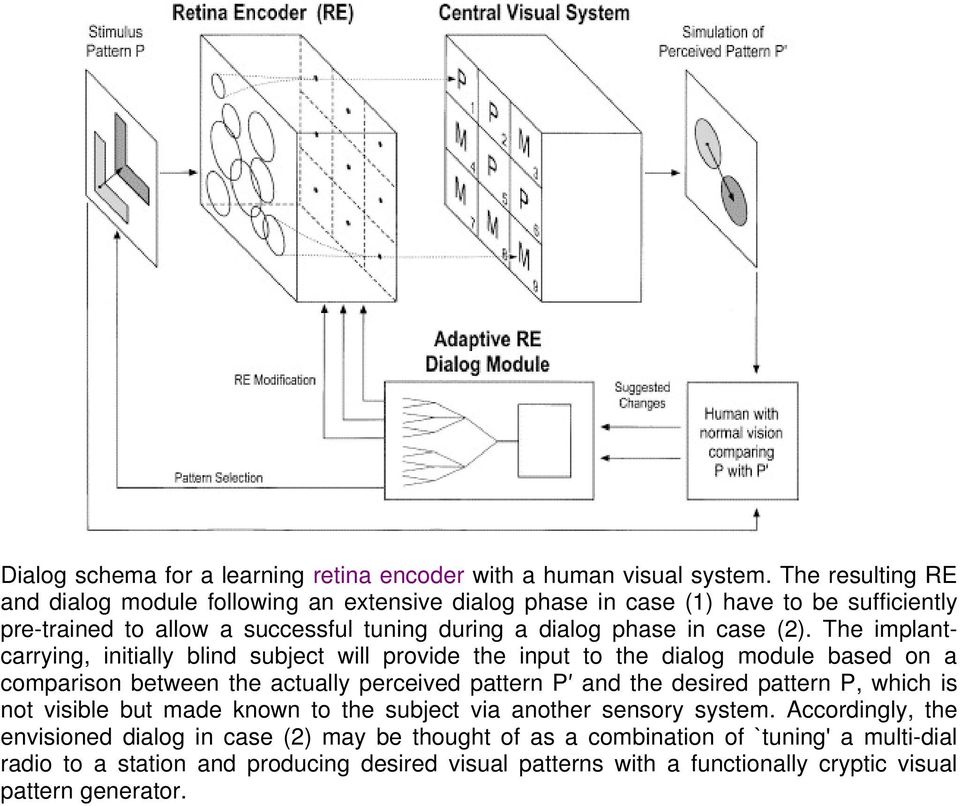 The implantcarrying, initially blind subject will provide the input to the dialog module based on a comparison between the actually perceived pattern P and the desired pattern P,