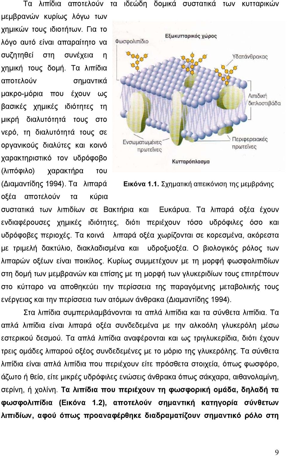 (λιπόφιλο) χαρακτήρα του (Διαμαντίδης 1994). Τα λιπαρά Εικόνα 1.1. Σχηματική απεικόνιση της μεμβράνης οξέα αποτελούν τα κύρια συστατικά των λιπιδίων σε Βακτήρια και Ευκάρυα.