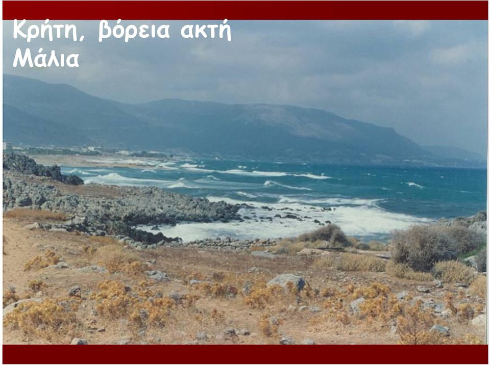 ακτή