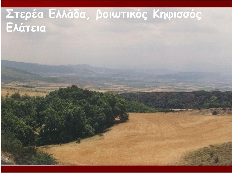 βοιωτικός