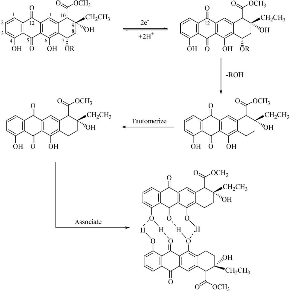 Gaudiano G ; Koch T H J Org DNA Chem 1987 52 9 Qu H2Y ; Cheng G2F ; Peng H2Q ; He P2G ; Fang Y 2Z Chem J Chin Univ 2002 22 2000 (in Chinese) ( 2002 22 2000 ) 10 Anson F ; Huang H2Z ; Gao X2X