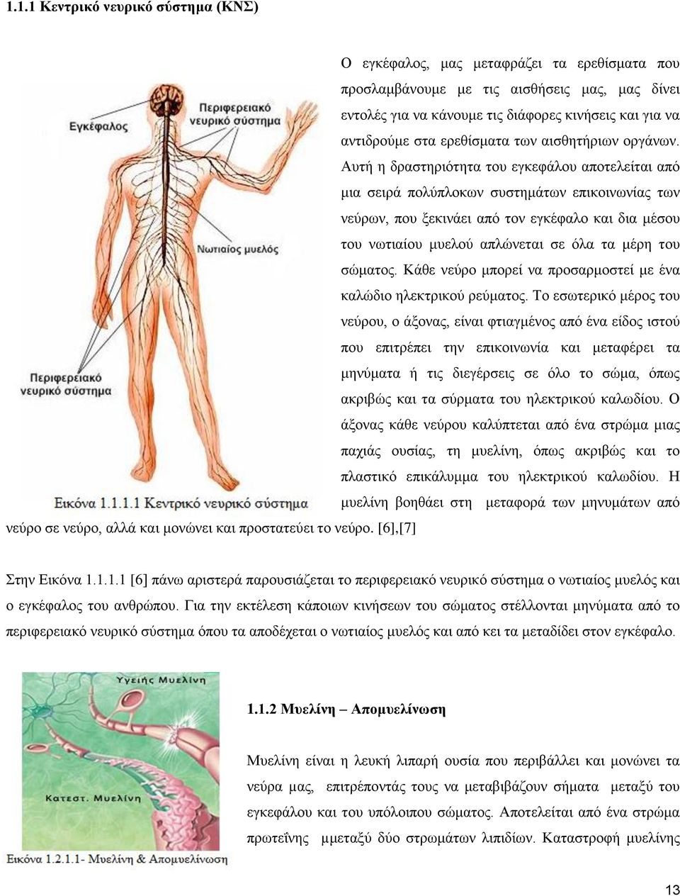 Απηή ε δξαζηεξηόηεηα ηνπ εγθεθάινπ απνηειείηαη από κηα ζεηξά πνιύπινθσλ ζπζηεκάησλ επηθνηλσλίαο ησλ λεύξσλ, πνπ μεθηλάεη από ηνλ εγθέθαιν θαη δηα κέζνπ ηνπ λσηηαίνπ κπεινύ απιώλεηαη ζε όια ηα κέξε