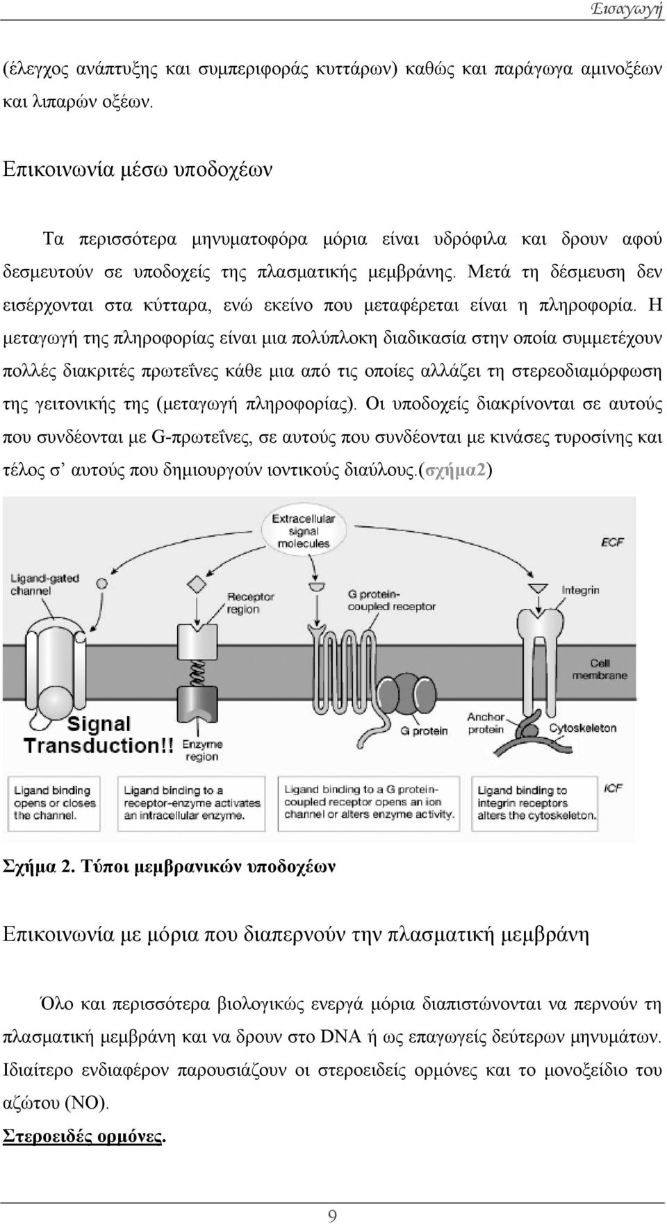 Μετά τη δέσμευση δεν εισέρχονται στα κύτταρα, ενώ εκείνο που μεταφέρεται είναι η πληροφορία.