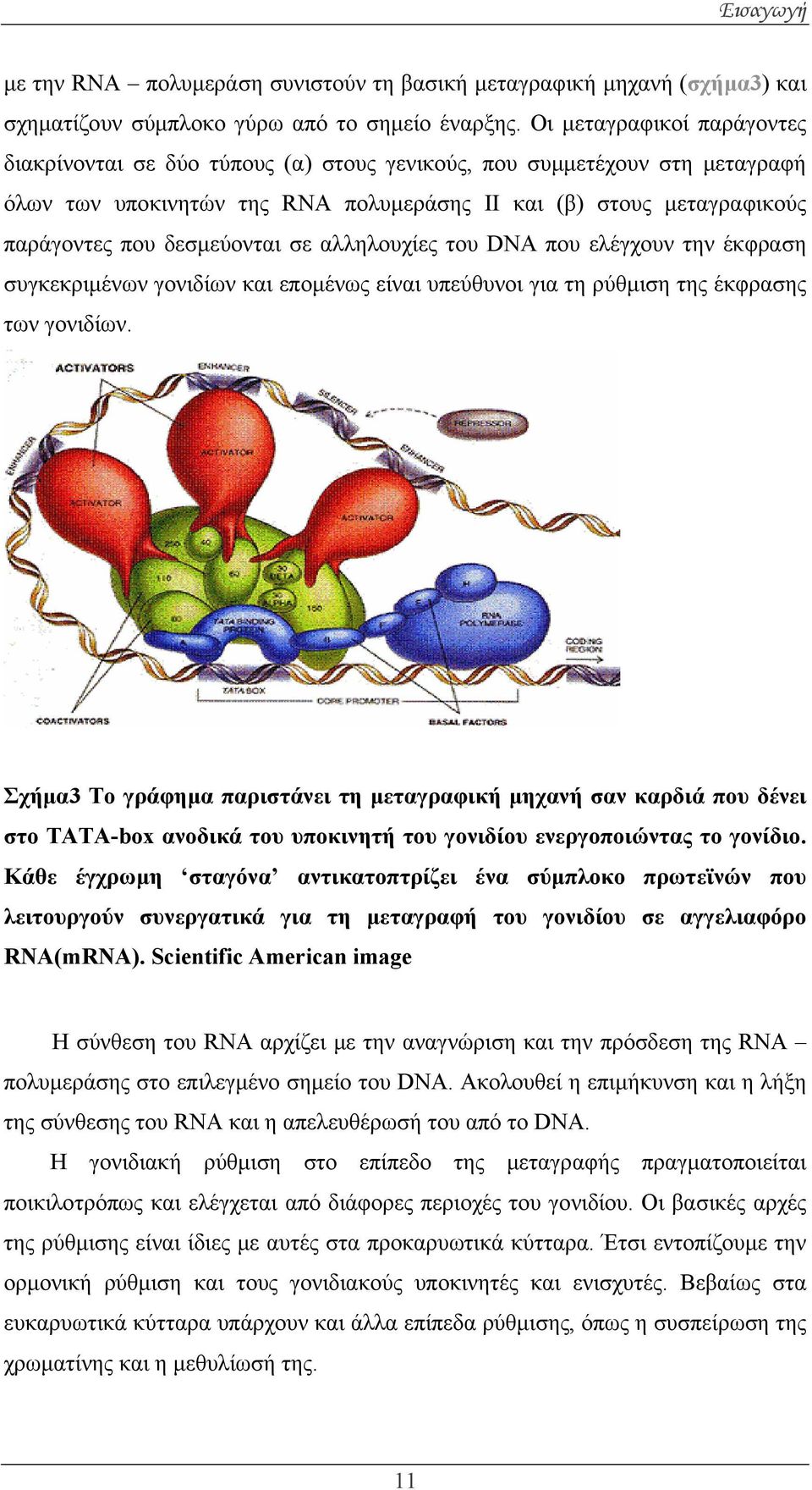 δεσμεύονται σε αλληλουχίες του DNA που ελέγχουν την έκφραση συγκεκριμένων γονιδίων και επομένως είναι υπεύθυνοι για τη ρύθμιση της έκφρασης των γονιδίων.