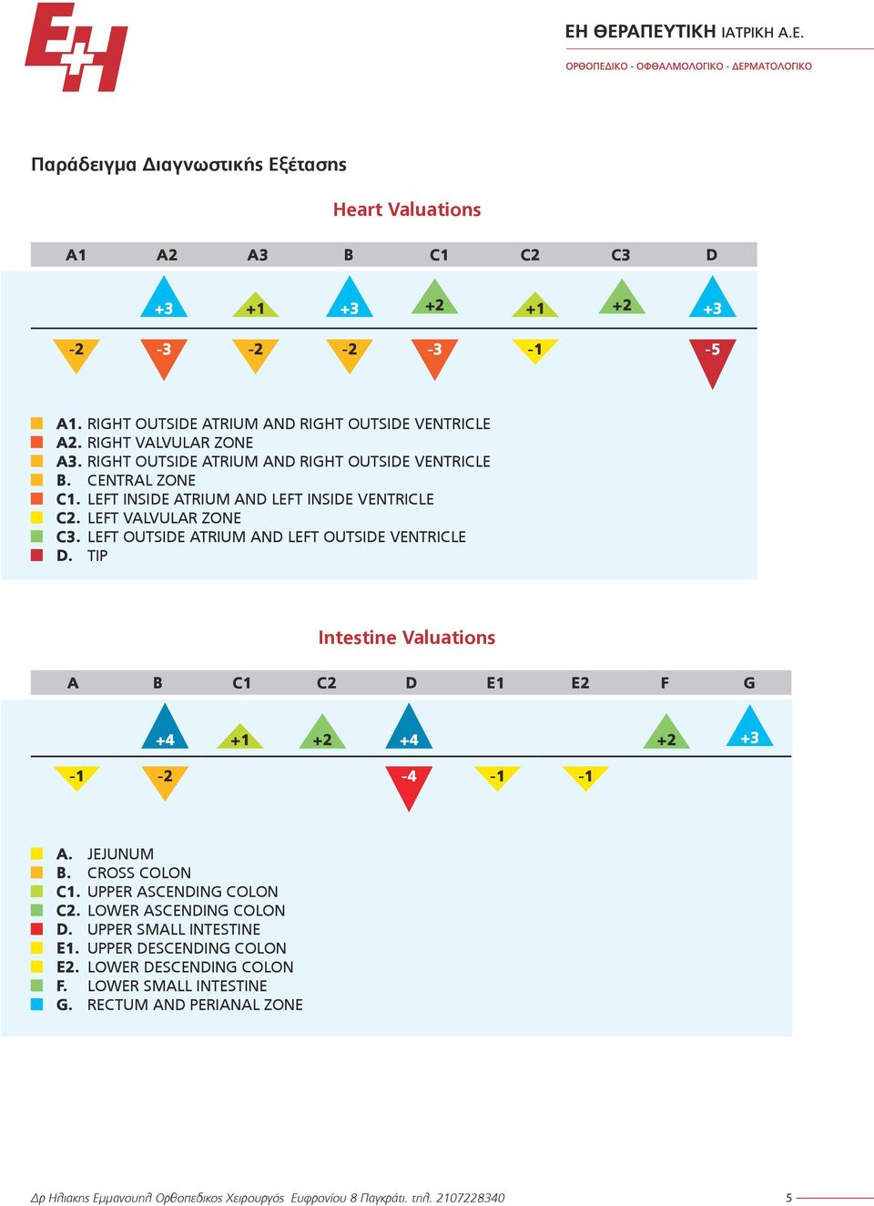 LEFT OUTSIDE ATRIUM AND LEFT OUTSIDE VENTRICLE D. TIP Intestine Valuations A Β C1 C2 D E1 E2 F G +4 +1 +2 +4 +2 +3-1 -2-4 -1-1 Α. JEJUNUM B. CROSS COLON C1.