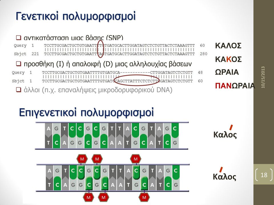 χ. επαναλήψεις μικροδορυφορικού DNA) ΚΑΛΟΣ