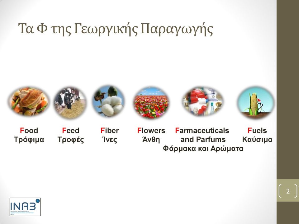 Flowers Άνθη Farmaceuticals and