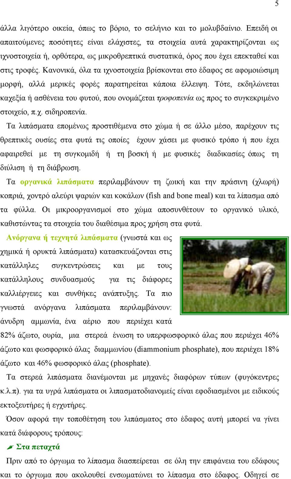 Κανονικά, όλα τα ιχνοστοιχεία βρίσκονται στο έδαφος σε αφοµοιώσιµη µορφή, αλλά µερικές φορές παρατηρείται κάποια έλλειψη.