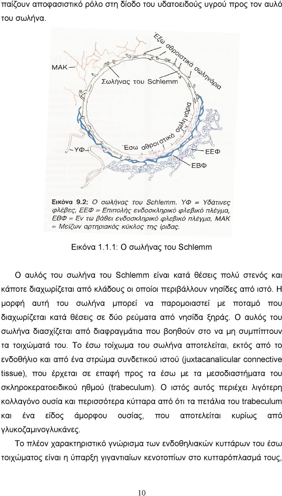 Η μορφή αυτή του σωλήνα μπορεί να παρομοιαστεί με ποταμό που διαχωρίζεται κατά θέσεις σε δύο ρεύματα από νησίδα ξηράς.