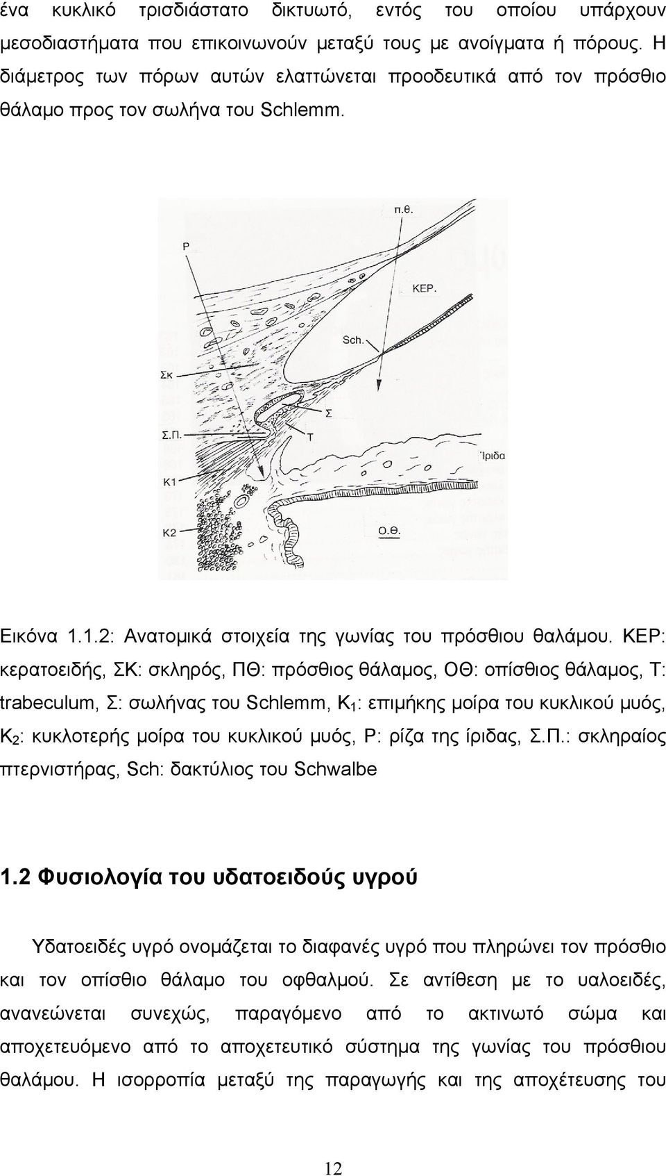 ΚΕΡ: κερατοειδής, ΣΚ: σκληρός, ΠΘ: πρόσθιος θάλαμος, ΟΘ: οπίσθιος θάλαμος, Τ: trabeculum, Σ: σωλήνας του Schlemm, Κ 1 : επιμήκης μοίρα του κυκλικού μυός, Κ 2 : κυκλοτερής μοίρα του κυκλικού μυός, Ρ: