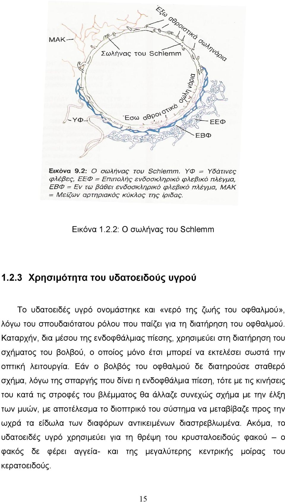 Εάν ο βολβός του οφθαλμού δε διατηρούσε σταθερό σχήμα, λόγω της σπαργής που δίνει η ενδοφθάλμια πίεση, τότε με τις κινήσεις του κατά τις στροφές του βλέμματος θα άλλαζε συνεχώς σχήμα με την έλξη των