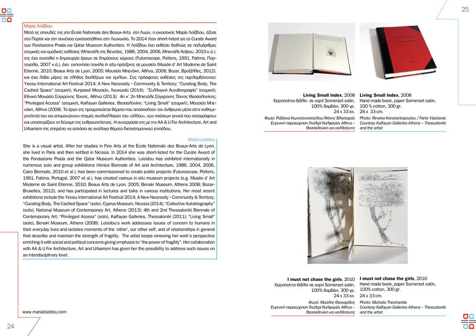 Η Λοϊζίδου έχει εκθέσει διεθνώς σε πολυάριθμες ατομικές και ομαδικές εκθέσεις (Μπιενάλε της Βενετίας, 1986, 2004, 2006, Μπιενάλε Καΐρου, 2010 κ.ά.), της έχει ανατεθεί η δημιουργία έργων σε δημόσιους χώρους (Futuroscope, Poitiers, 1991, Fatima, Πορτογαλία, 2007 κ.