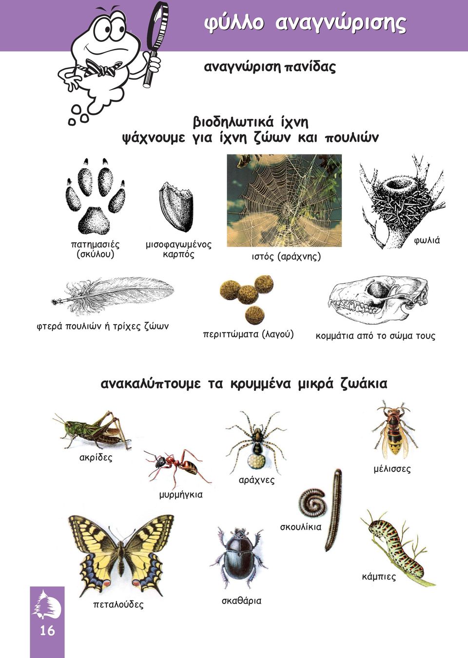 ιστός (αράχνης) περιττώµατα (λαγού) κοµµάτια από το σώµα τους ανακαλύπτουµε τα