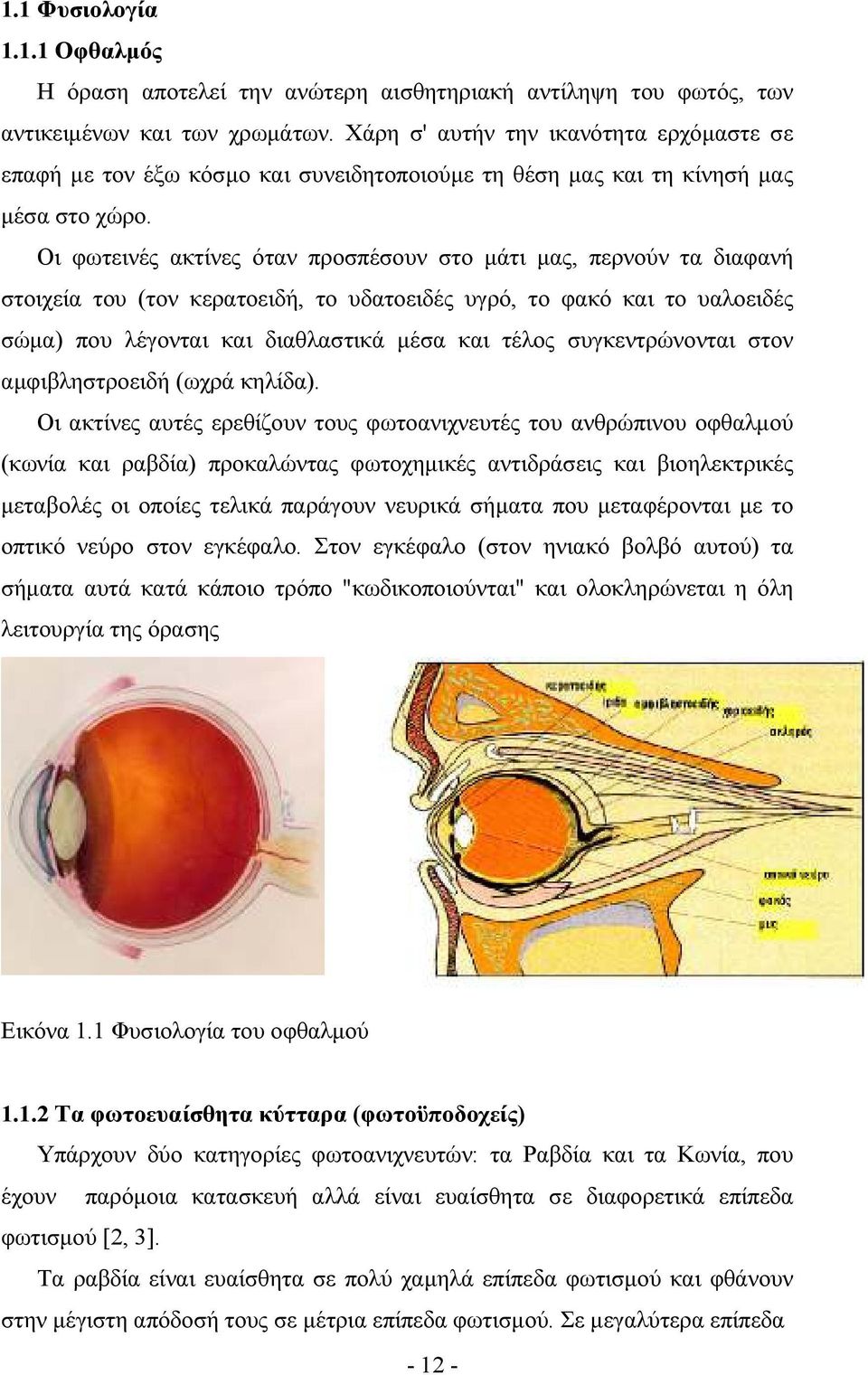 Οι φωτεινές ακτίνες όταν προσπέσουν στο µάτι µας, περνούν τα διαφανή στοιχεία του (τον κερατοειδή, το υδατοειδές υγρό, το φακό και το υαλοειδές σώµα) που λέγονται και διαθλαστικά µέσα και τέλος