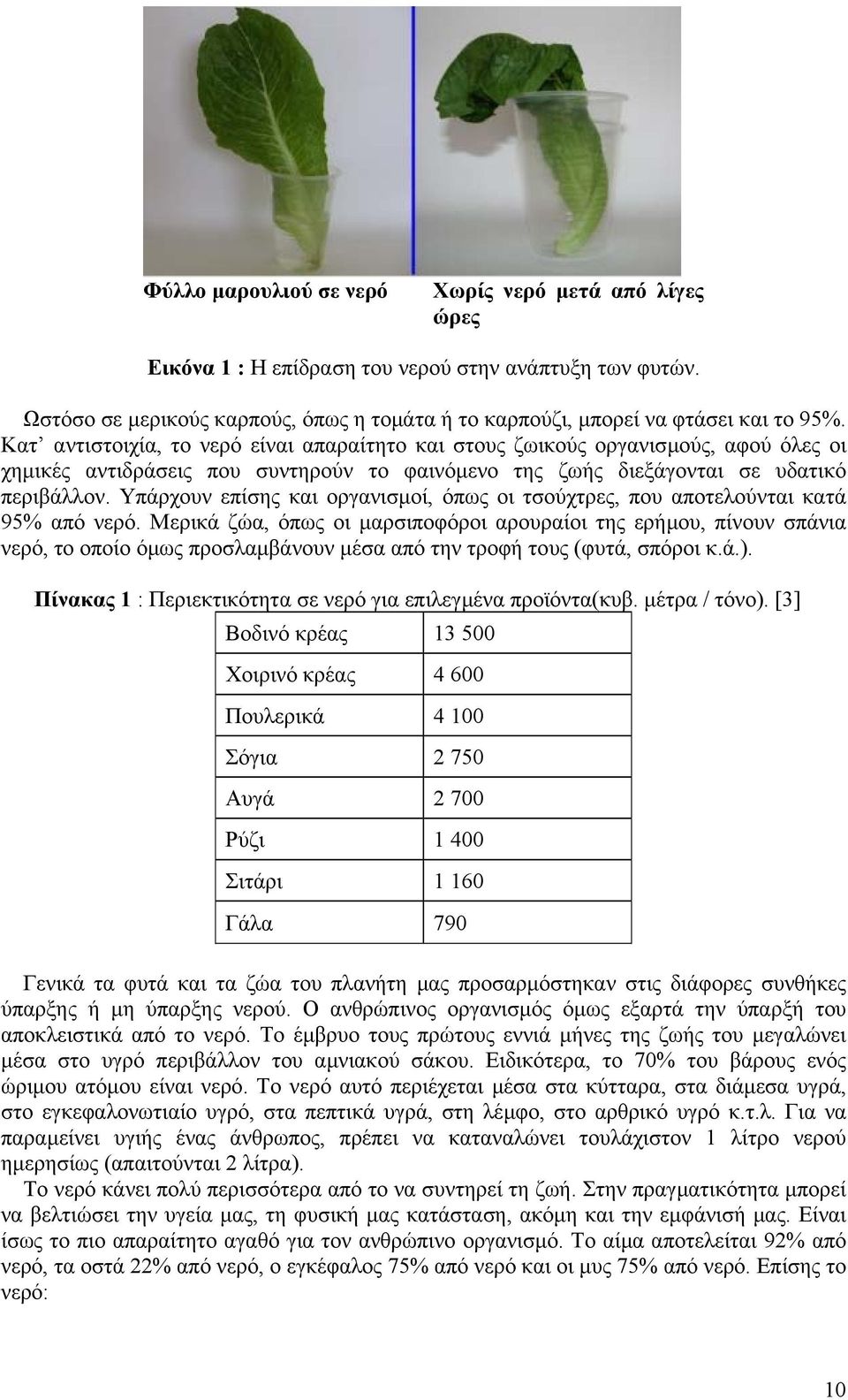 Υπάρχουν επίσης και οργανισµοί, όπως οι τσούχτρες, που αποτελούνται κατά 95% από νερό.