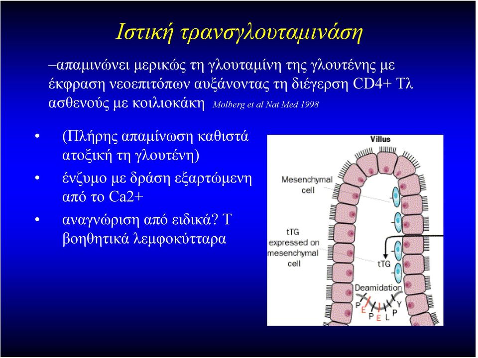 Molberg et al Nat Med 1998 (Πλήρης απαμίνωση καθιστά ατοξική τη γλουτένη)