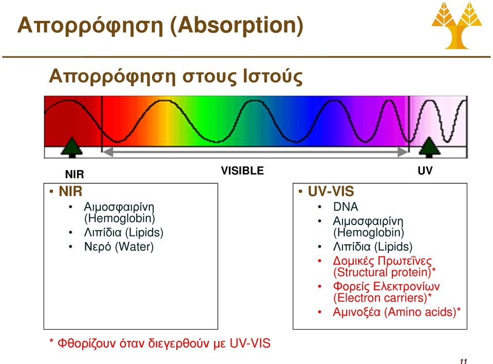 (Hemoglobin) Λιπίδια (Lipids) οµικές Πρωτεΐνες (Structural protein)* Φορείς