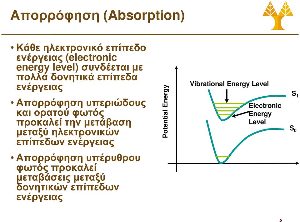 µεταξύ ηλεκτρονικών επίπεδων ενέργειας Potential Energy Vibrational Energy Level Electronic