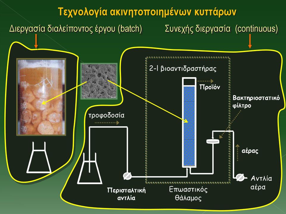 (continuous) 2-l βιοαντιδραστήρας τροφοδοσία Προϊόν