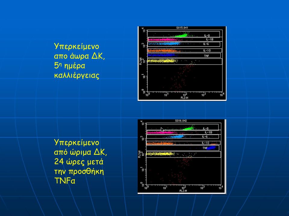 Υπερκείμενο από ώριμα ΔΚ,