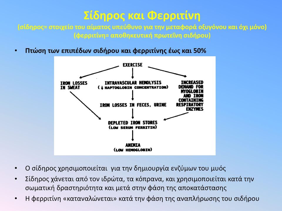 την δημιουργία ενζύμων του μυός Σίδηρος χάνεται από τον ιδρώτα, τα κόπρανα, και χρησιμοποιείται κατά την σωματική